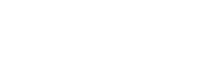 Silicon Canals